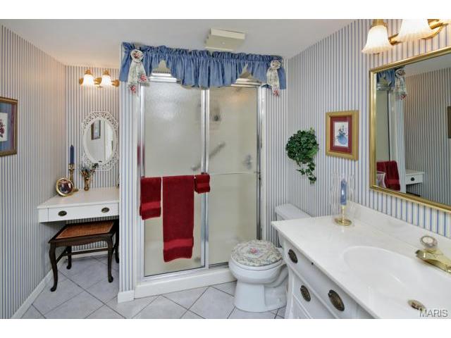 1329 Webster Path Dr, Webster Groves, MO 63119 photo 13