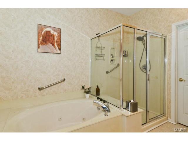 849 Hawk Run Trl, O'fallon, MO 63368 photo 24