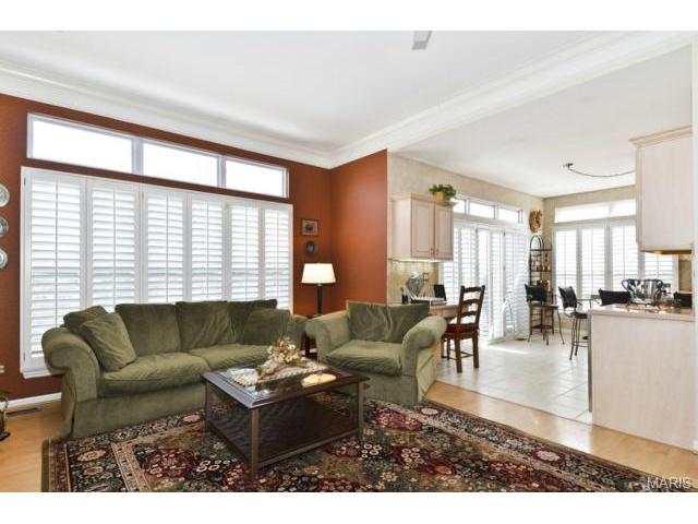 849 Hawk Run Trl, O'fallon, MO 63368 photo 10