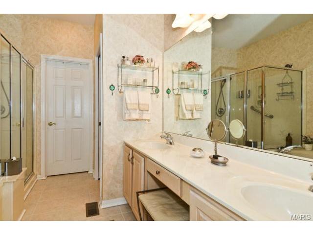 849 Hawk Run Trl, O'fallon, MO 63368 photo 23