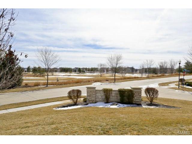 849 Hawk Run Trl, O'fallon, MO 63368 photo 34