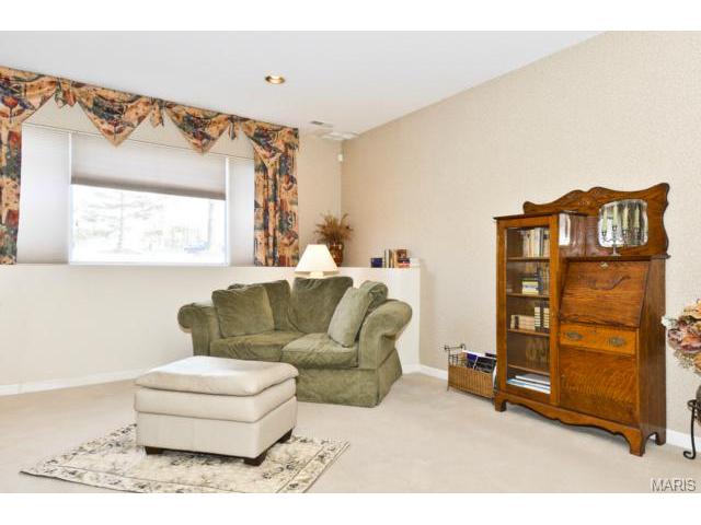 849 Hawk Run Trl, O'fallon, MO 63368 photo 27