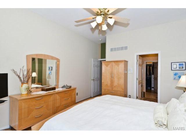 849 Hawk Run Trl, O'fallon, MO 63368 photo 21