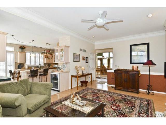 849 Hawk Run Trl, O'fallon, MO 63368 photo 11