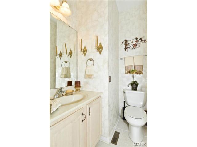 849 Hawk Run Trl, O'fallon, MO 63368 photo 17
