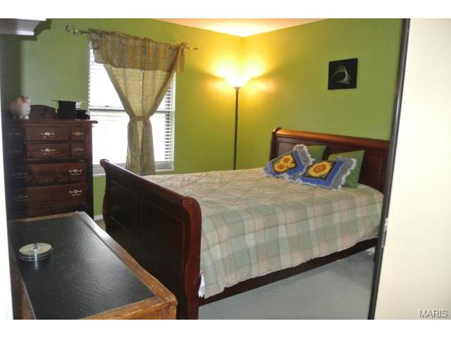 10056 Elba Ln, Saint Louis, MO 63137 photo 25