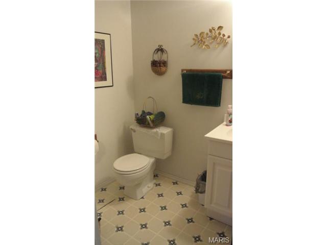 10056 Elba Ln, Saint Louis, MO 63137 photo 10