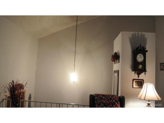 10056 Elba Ln, Saint Louis, MO 63137 photo 14