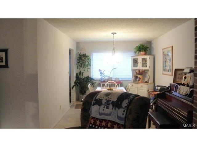 10056 Elba Ln, Saint Louis, MO 63137 photo 19