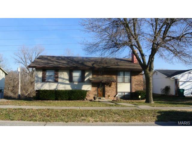 10056 Elba Ln, Saint Louis, MO 63137 photo 2