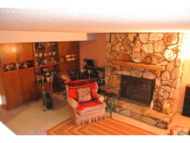 10056 Elba Ln, Saint Louis, MO 63137 photo 9