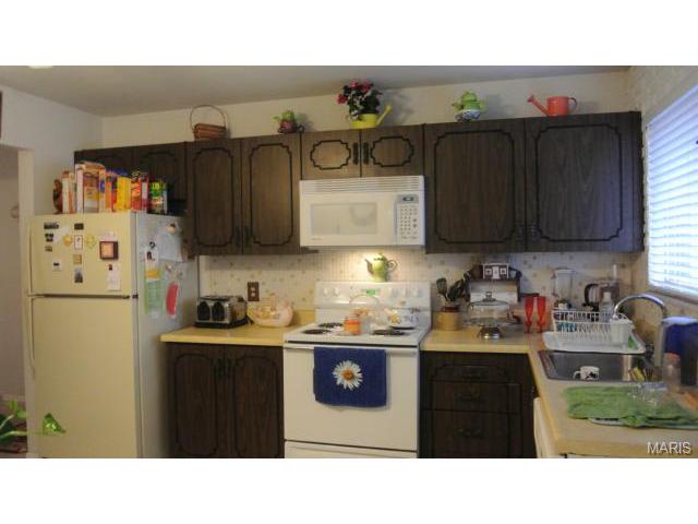 10056 Elba Ln, Saint Louis, MO 63137 photo 21