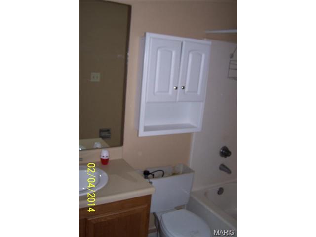 174 Pheasant Pt, O'fallon, MO 63368 photo 27