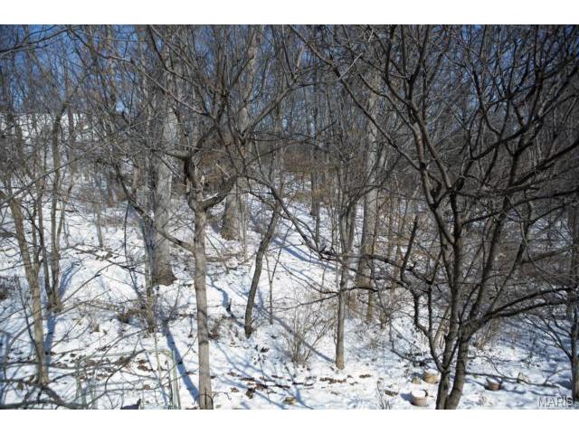 5 Pinehurst Green Ct, O'fallon, MO 63366 photo 26