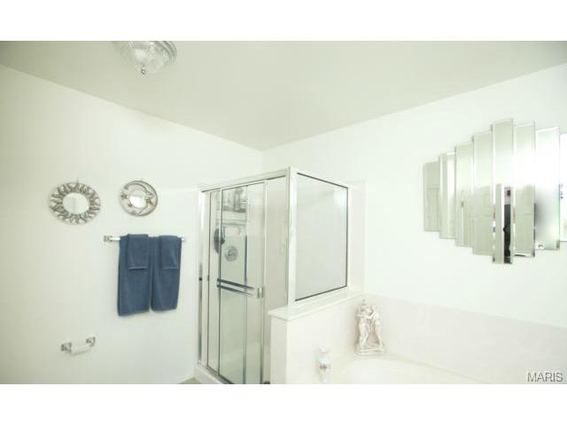 5 Pinehurst Green Ct, O'fallon, MO 63366 photo 20