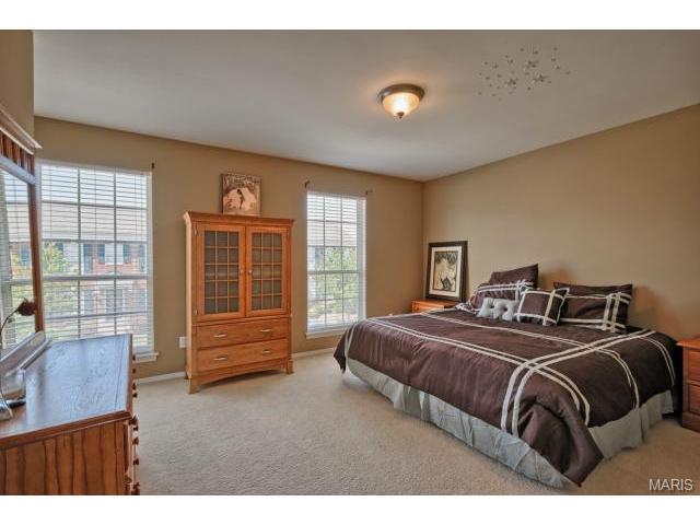 941 Rolling Thunder Dr, O'fallon, MO 63368 photo 17