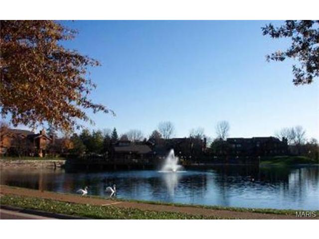 854 Hemingway Ln, Weldon Spring, MO 63304 photo 34