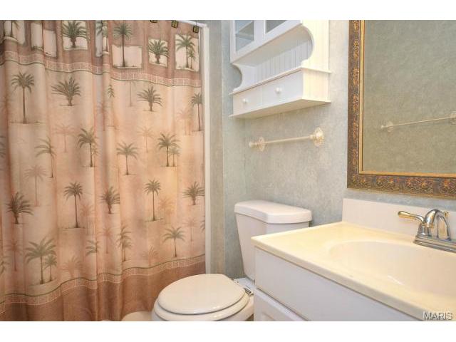 1342 Half Moon Dr, O'fallon, MO 63366 photo 15