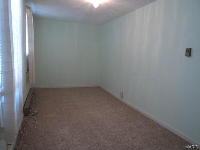 216 Valley Dr, Glencoe, MO 63038 photo 11