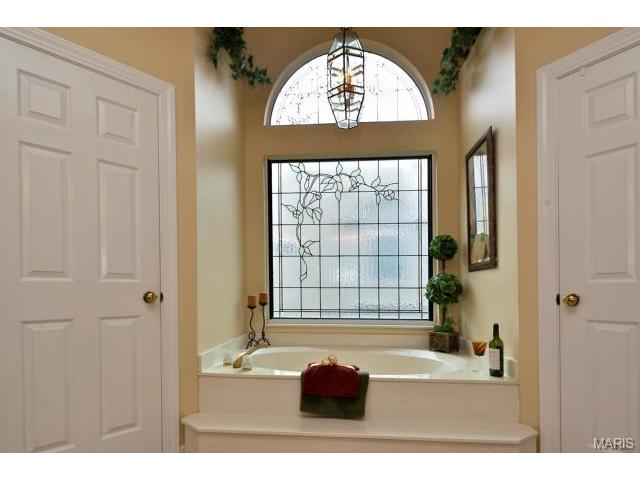 1171 Whitmoor Dr, Weldon Spring, MO 63304 photo 22