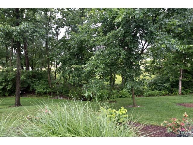 1171 Whitmoor Dr, Weldon Spring, MO 63304 photo 51