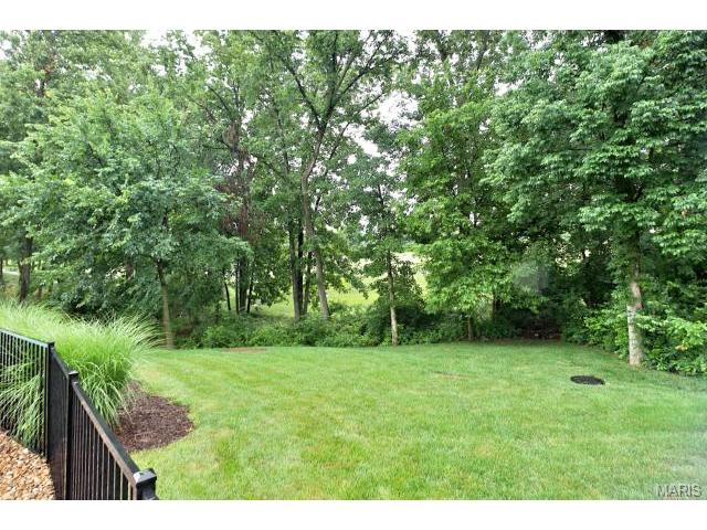 1171 Whitmoor Dr, Weldon Spring, MO 63304 photo 41