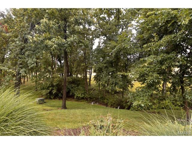 1171 Whitmoor Dr, Weldon Spring, MO 63304 photo 50