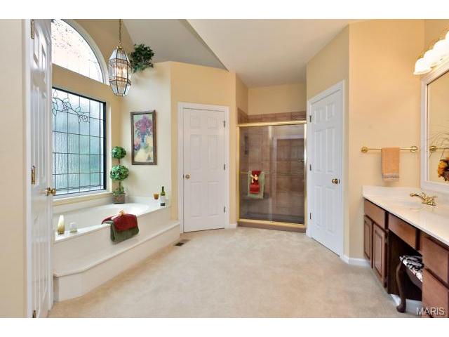 1171 Whitmoor Dr, Weldon Spring, MO 63304 photo 23