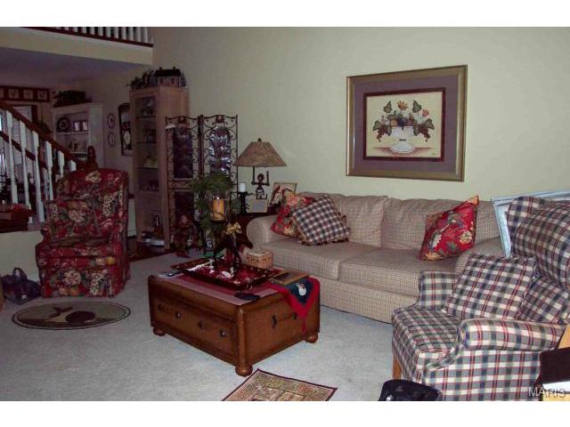 646 Hawk Run Dr, O'fallon, MO 63368 photo 10