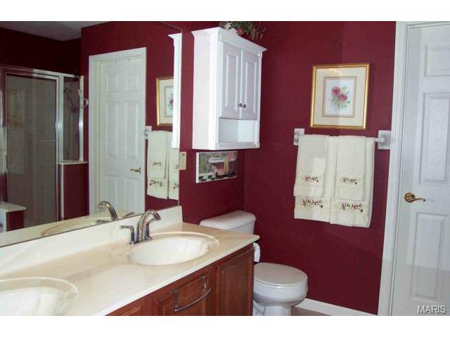 646 Hawk Run Dr, O'fallon, MO 63368 photo 18