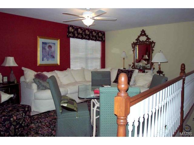 646 Hawk Run Dr, O'fallon, MO 63368 photo 13