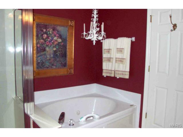 646 Hawk Run Dr, O'fallon, MO 63368 photo 20