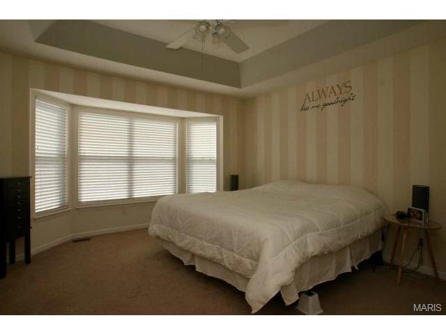 120 Chantry Dr, O'fallon, MO 63366 photo 9