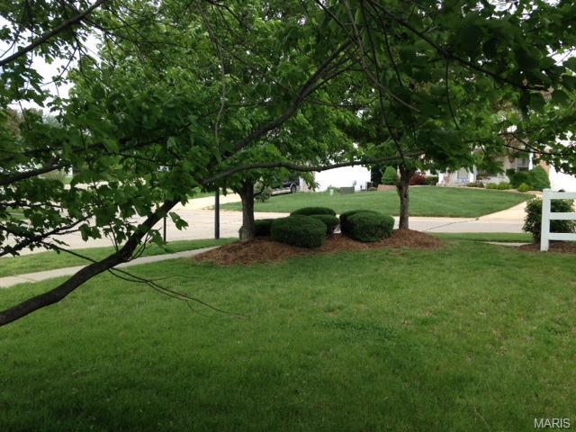 1 Chastain Ct, O'fallon, MO 63368 photo 29