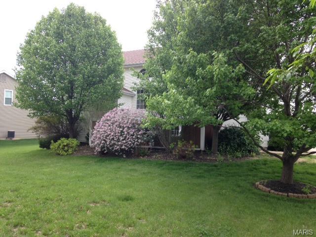 1 Chastain Ct, O'fallon, MO 63368 photo 28