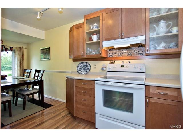 417 Applestone, Ballwin, MO 63021 photo 17