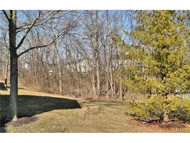 504 Villa Piazza Ct, O'fallon, MO 63366 photo 21