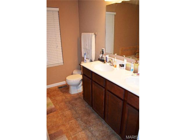 169 Fox Creek Dr, O'fallon, MO 63366 photo 12