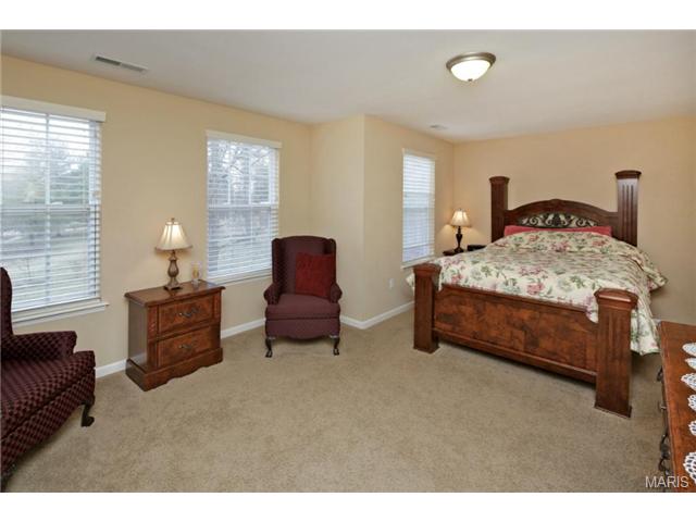 323 Ries Bend Rd, Ballwin, MO 63021 photo 15
