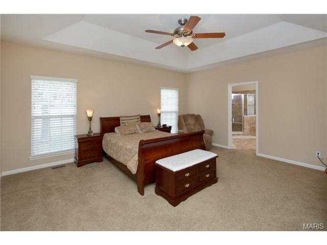 323 Ries Bend Rd, Ballwin, MO 63021 photo 13