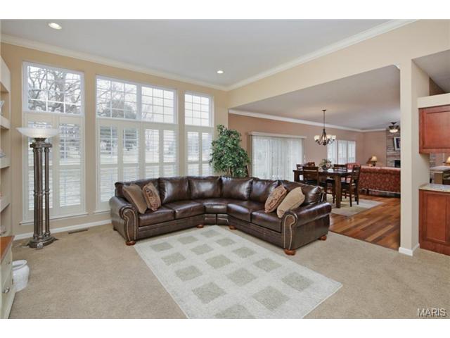 323 Ries Bend Rd, Ballwin, MO 63021 photo 5