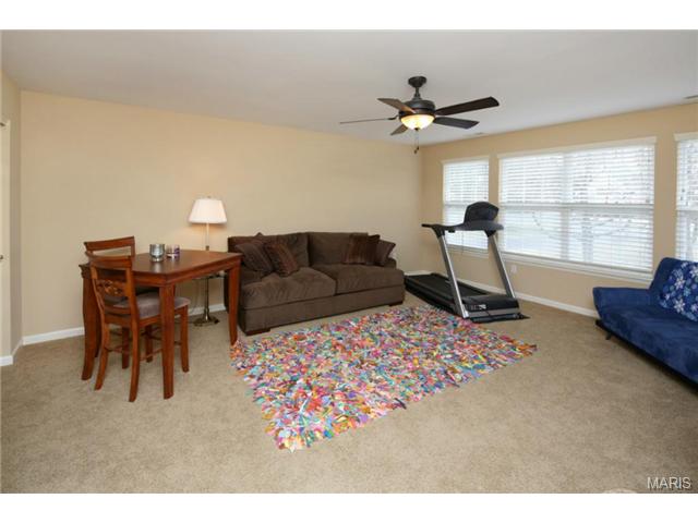 323 Ries Bend Rd, Ballwin, MO 63021 photo 16
