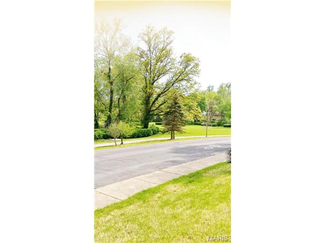 211 Robert Ave, Ferguson, MO 63135 photo 27