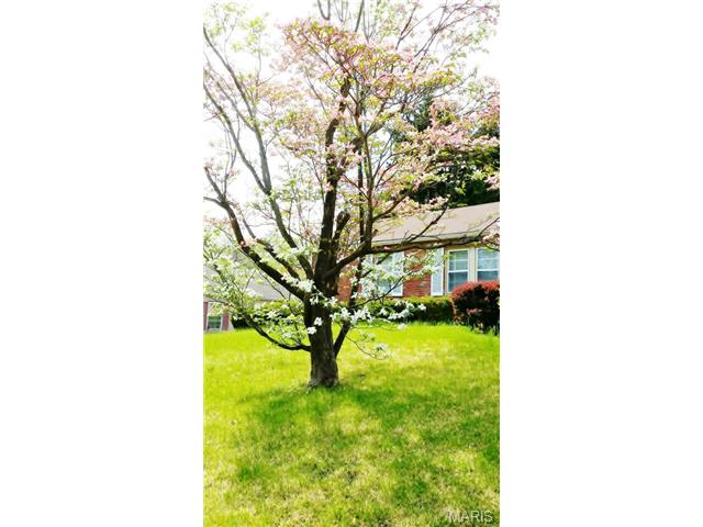 211 Robert Ave, Ferguson, MO 63135 photo 3