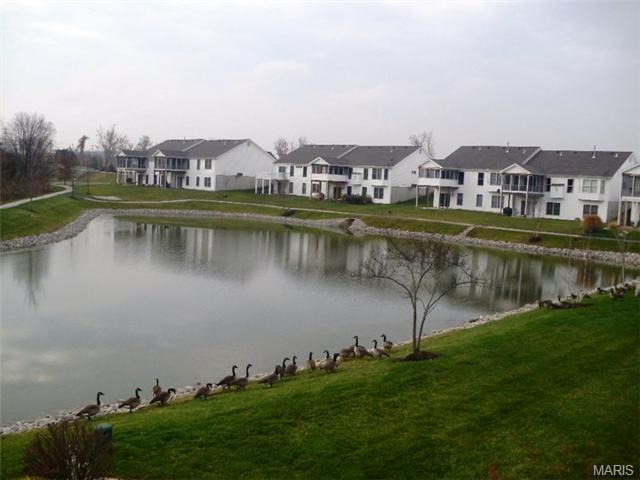 775 River Glen Dr, O'fallon, MO 63368 photo 25