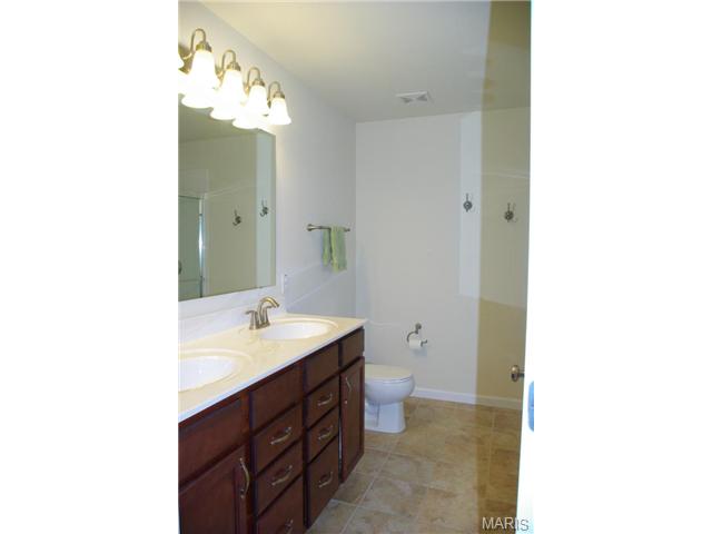 3109 Grace Hill Dr, O'fallon, MO 63367 photo 16