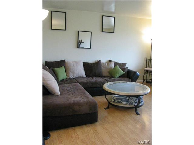 7 S Lang Dr, O'fallon, MO 63366 photo 22