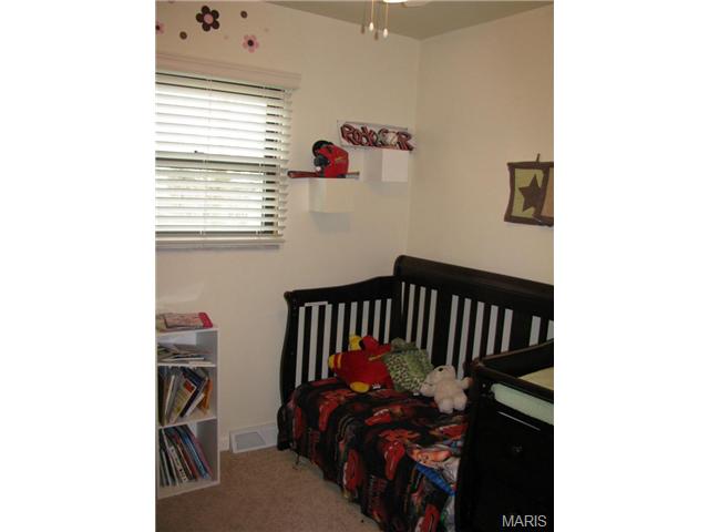 7 S Lang Dr, O'fallon, MO 63366 photo 10