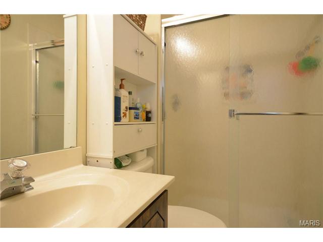 11 Calder, Ballwin, MO 63021 photo 24
