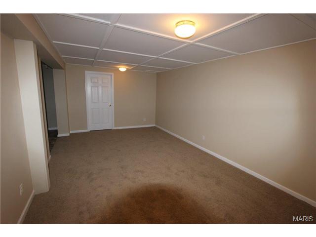 7361 Cinnamon Teal Dr, O'fallon, MO 63368 photo 20